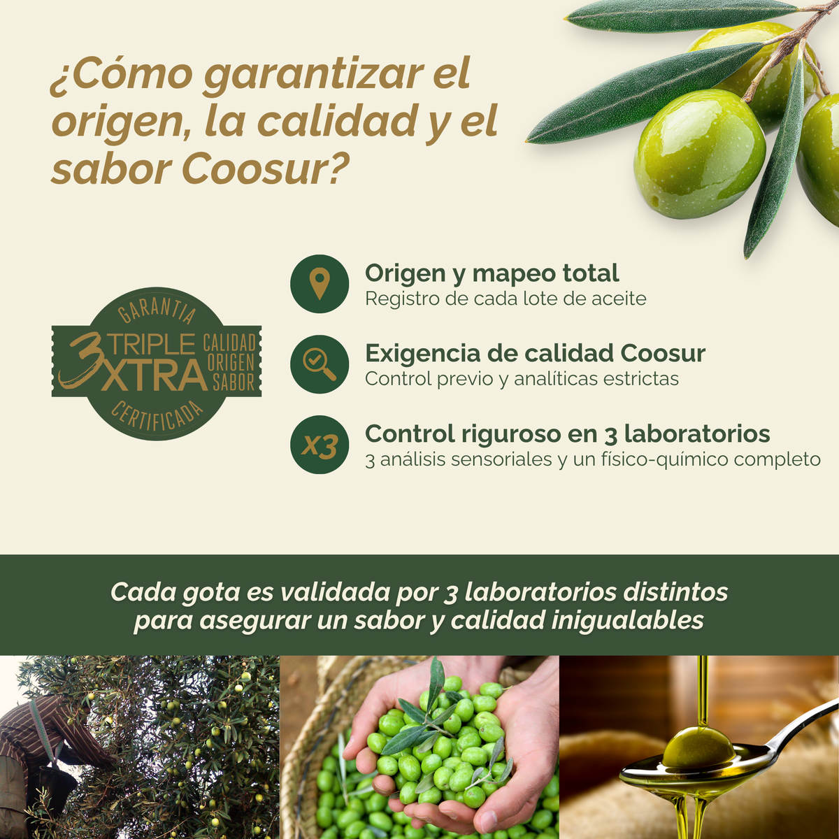 Aceite de Oliva Virgen Extra Selección 3L