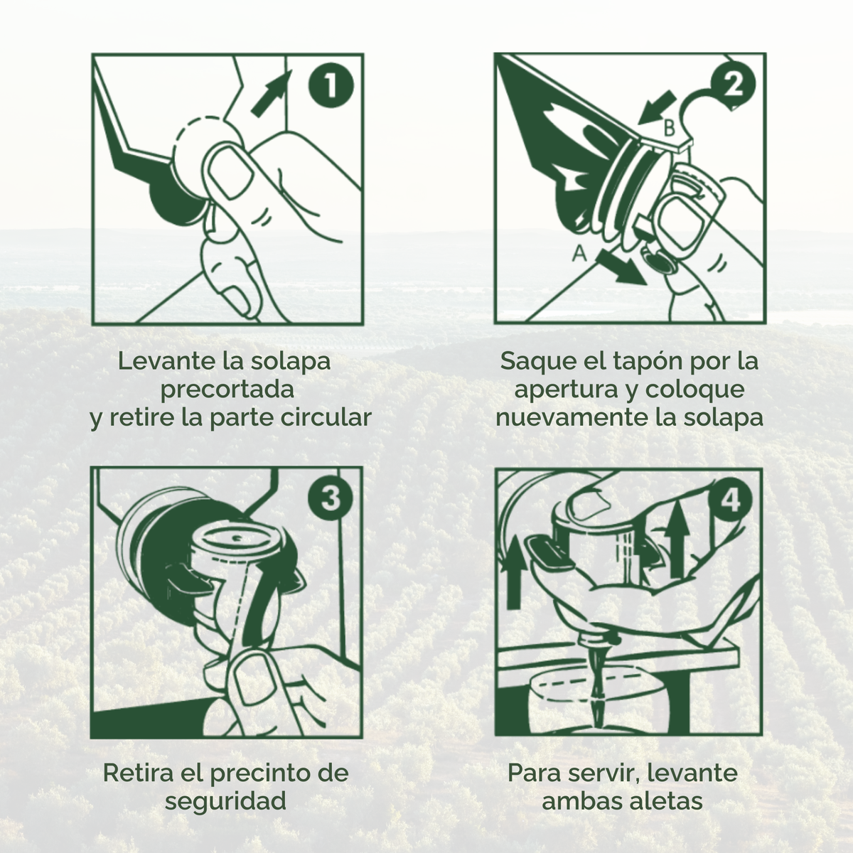 Bag in Box Grifo Aceite de Oliva Virgen Extra Selección 4L