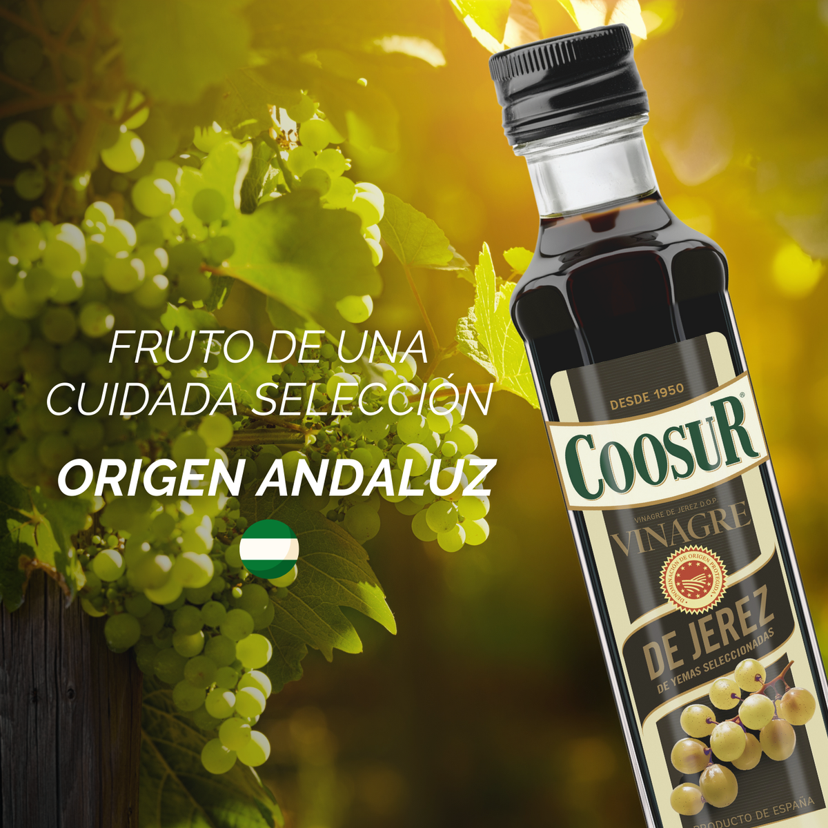 Vinagre de Jerez Coosur