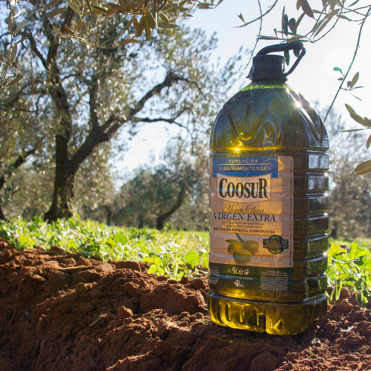 Aceite de Oliva Virgen Extra 5L Selección Cooperativa FJRG